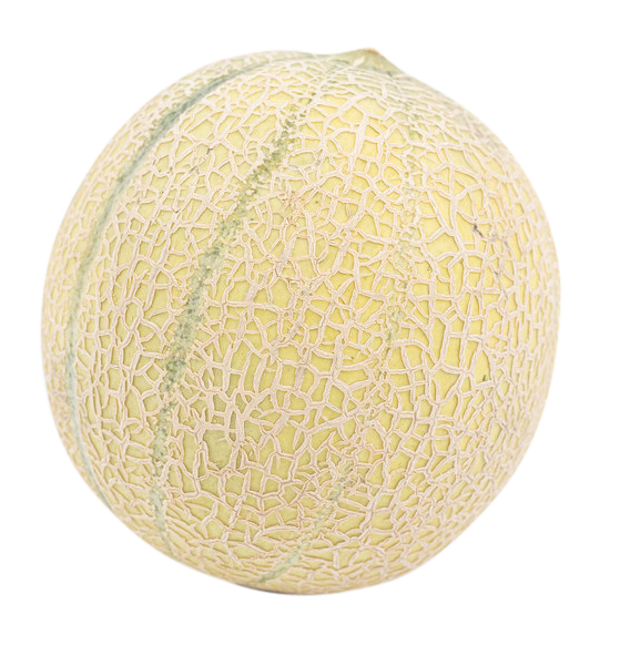 musk melon images, musk melon png, musk melon png image, musk melon transparent png image, musk melon png full hd images download